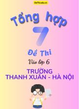 Tổng hợp 7 Đề thi vào Lớp 6 trường Thanh Xuân - Hà Nội (Kèm lời giải)